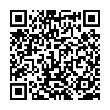 QR code for VIS221