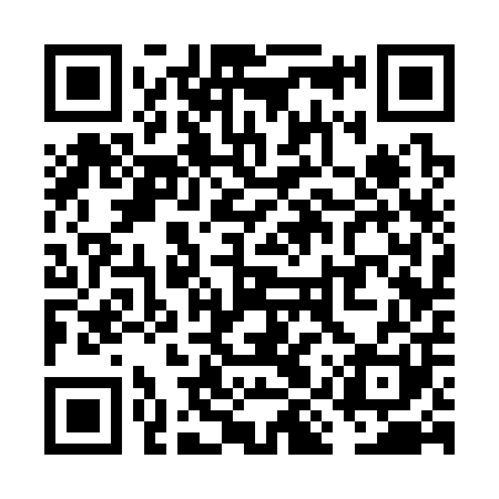 QR code for VIS301