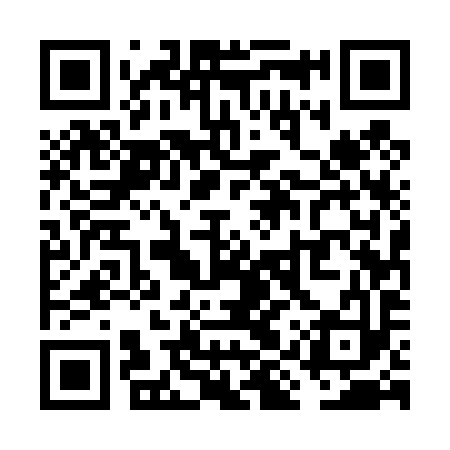 QR code for VIU493