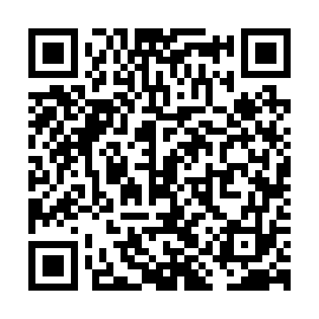 QR code for VIV273
