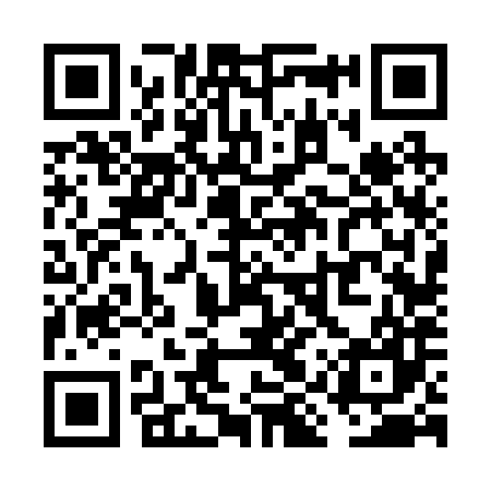 QR code for VIV287