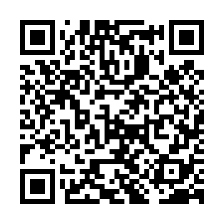 QR code for VIV478