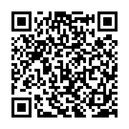 QR code for VIV533