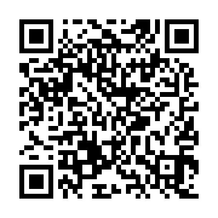 QR code for VIV911