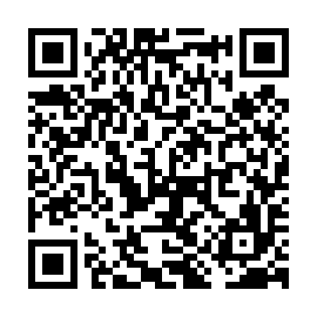 QR code for VIW496