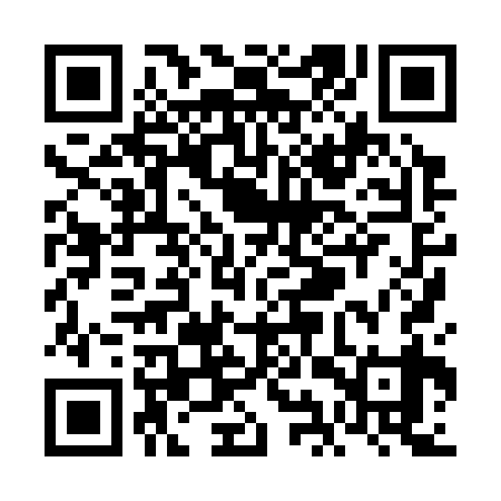 QR code for VIX339
