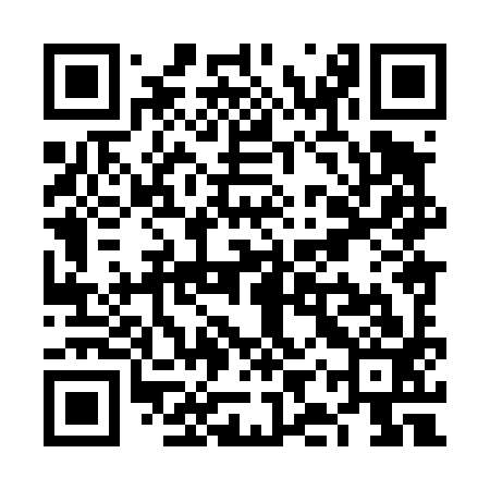 QR code for VIX493