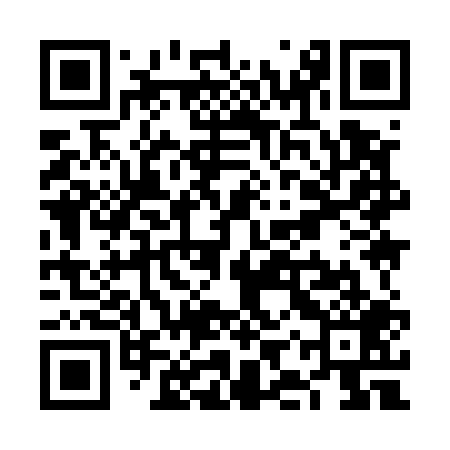 QR code for VIY509