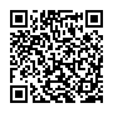 QR code for VIZ191