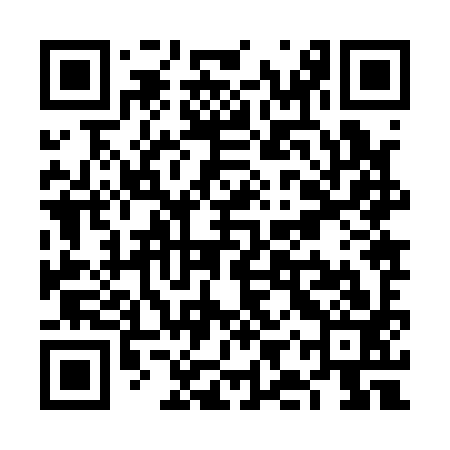 QR code for VIZ193