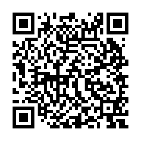 QR code for VIZ290