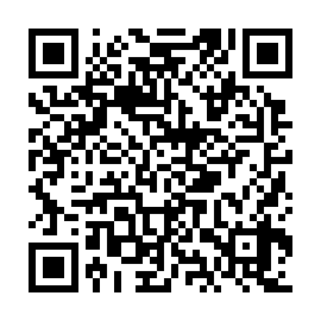 QR code for VIZ338