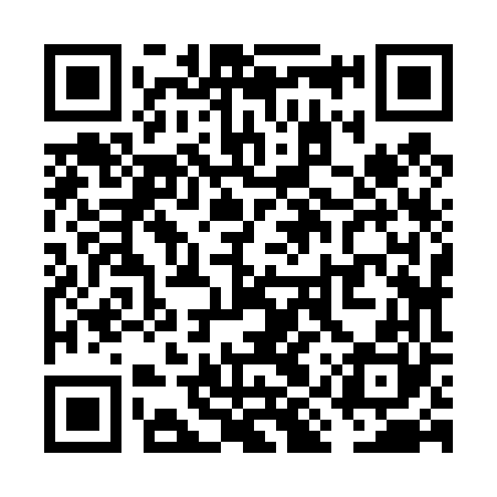 QR code for VIZ460