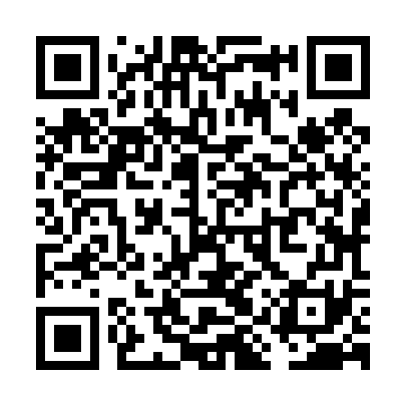 QR code for VIZ471