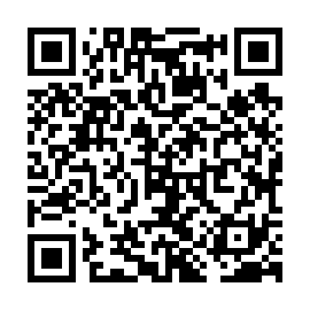 QR code for VIZ631