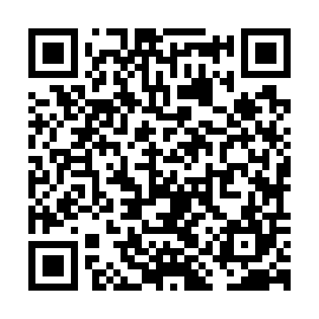 QR code for VIZ704