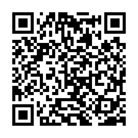 QR code for VIZ779