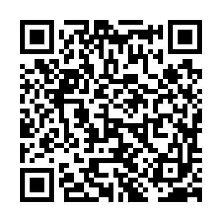QR code for VIZ793