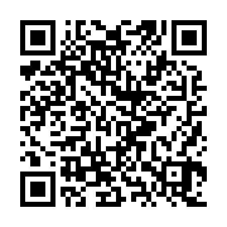QR code for VIZ822
