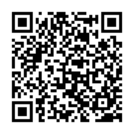 QR code for VJG384