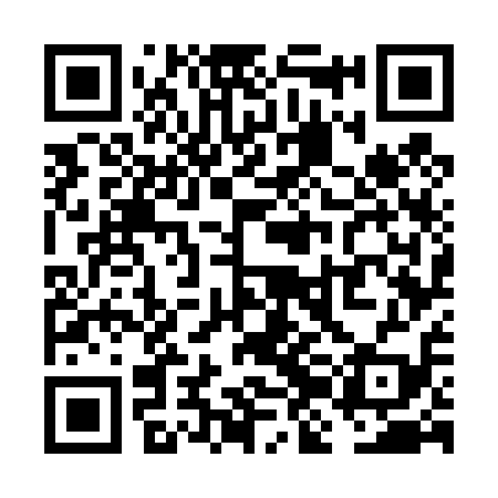 QR code for VJG419