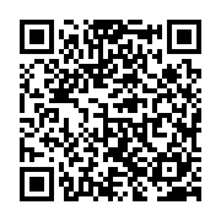 QR code for VJJ325