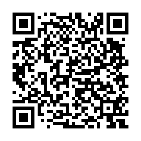 QR code for VJJ410