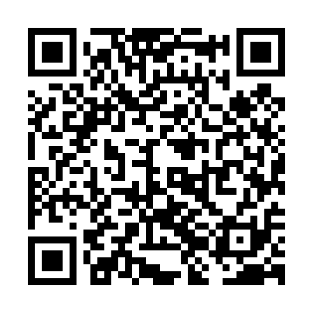 QR code for VJM411