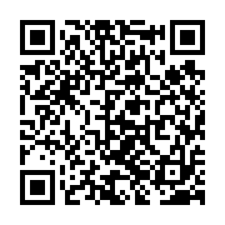 QR code for VJM613