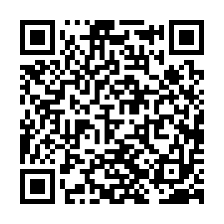QR code for VJP313