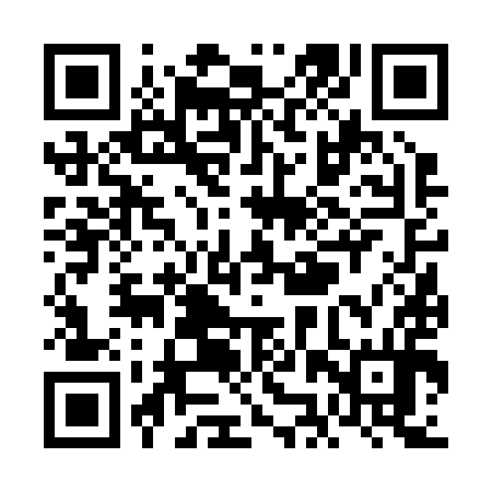 QR code for VJV294
