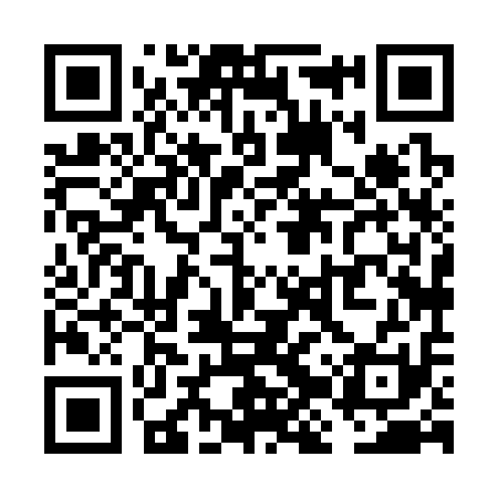 QR code for VJX311