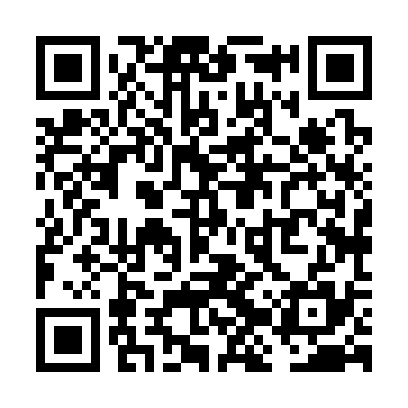 QR code for VJX335