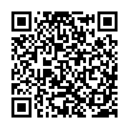 QR code for VJX381