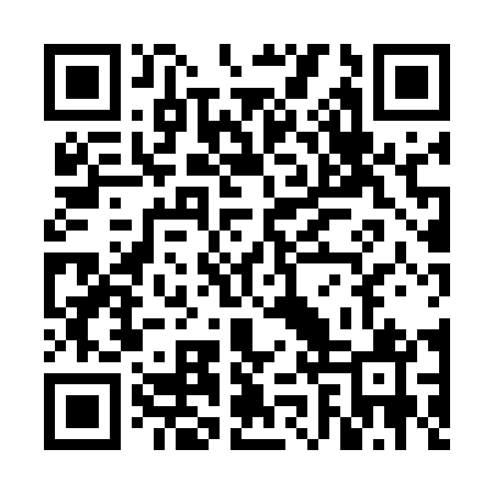 QR code for VJX541