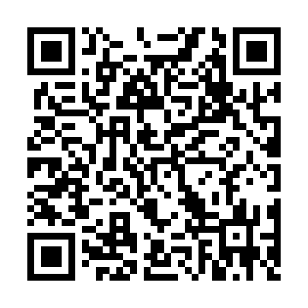QR code for VJZ173