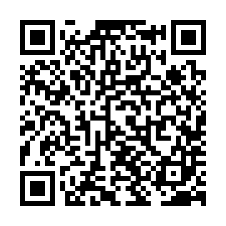 QR code for VKF383
