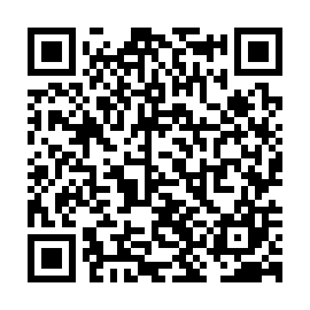QR code for VKO307