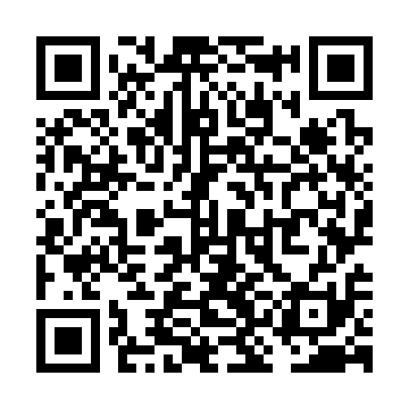 QR code for VKO311
