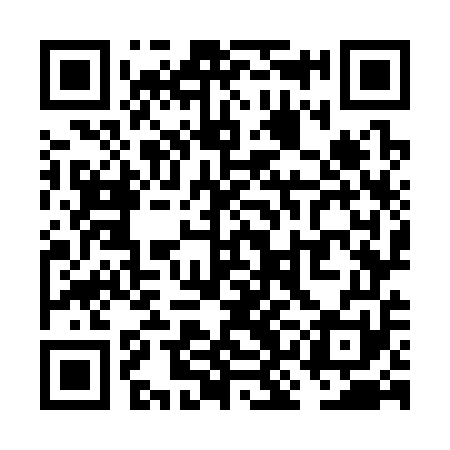 QR code for VKO351
