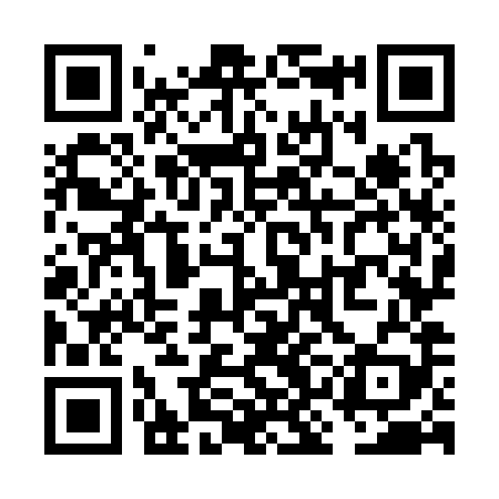 QR code for VKO389