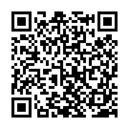 QR code for VKO460