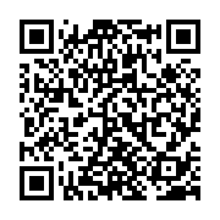 QR code for VKO838