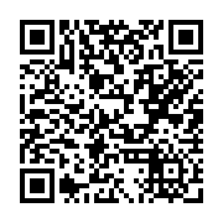 QR code for VLG376