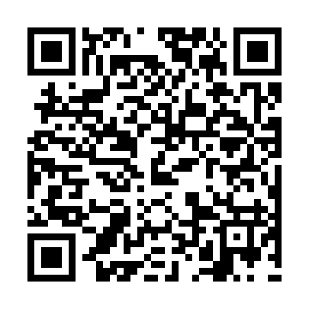 QR code for VLG397