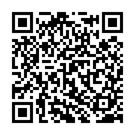 QR code for VLG541