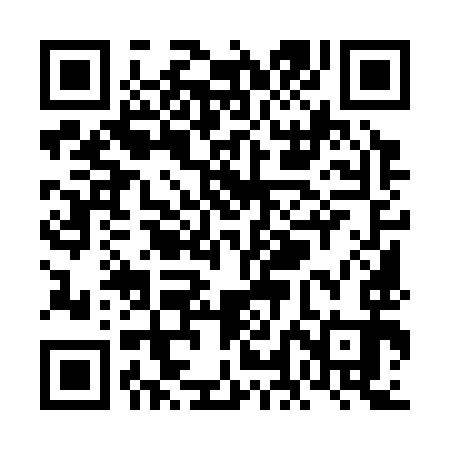 QR code for VLM393