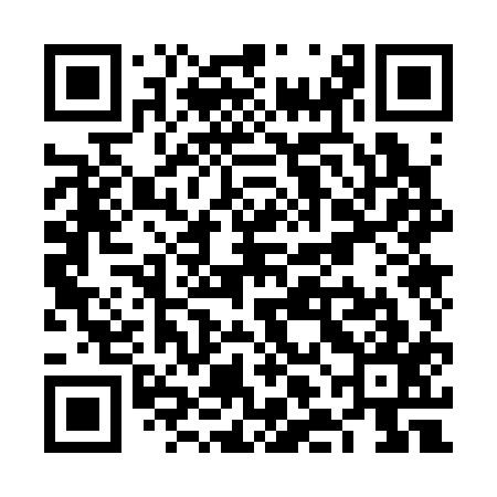 QR code for VLO317