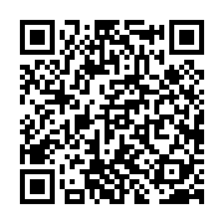 QR code for VLP029
