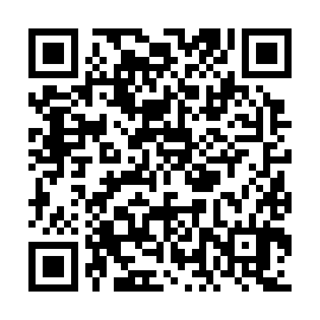 QR code for VLV384